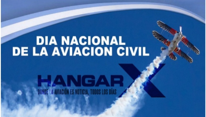 Efeaviaviontsuna2