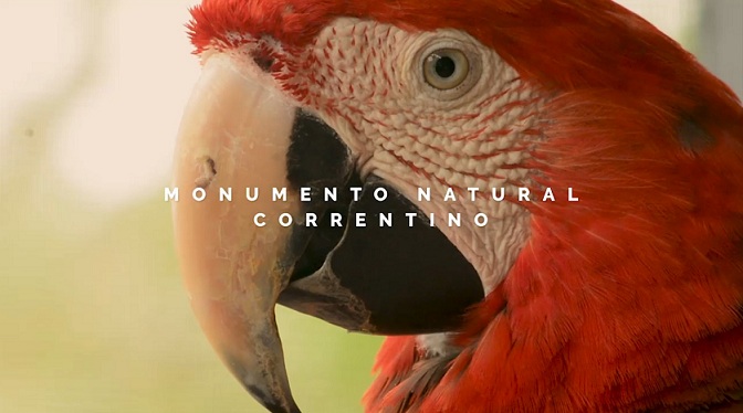 guacamayomonumnetonaturalprovi