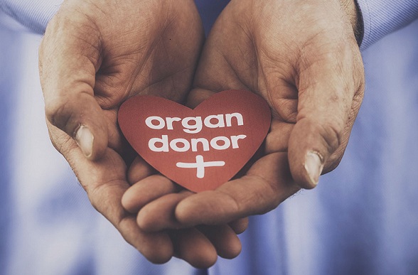 organdonare