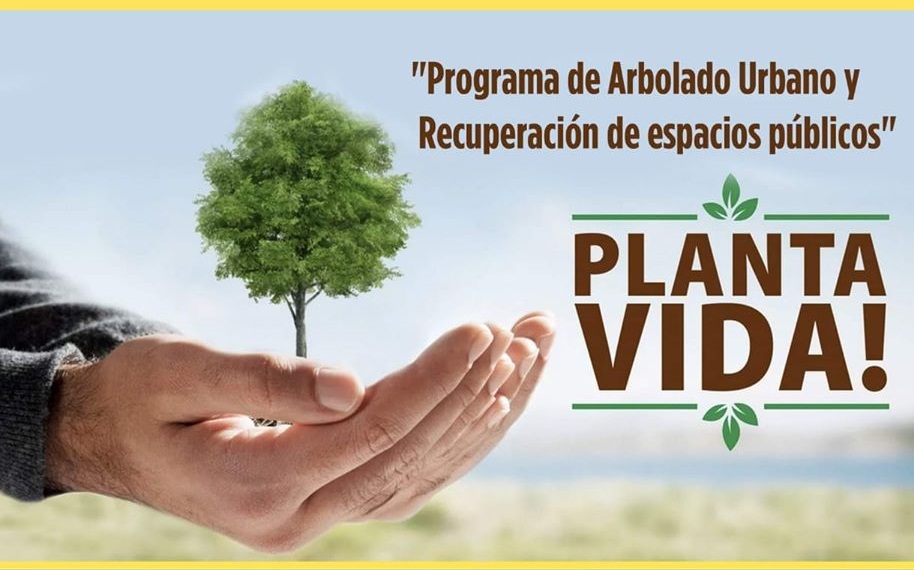 plantavidarboladoitualdia