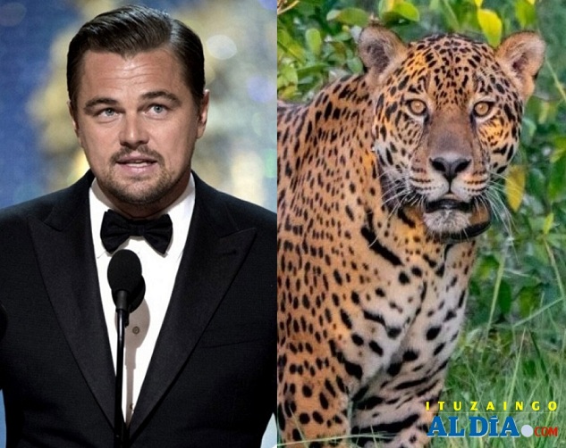 yaguaretesdicaprio