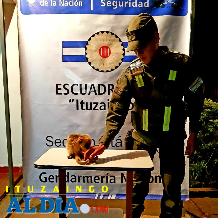 gendarcarayaitualdia1